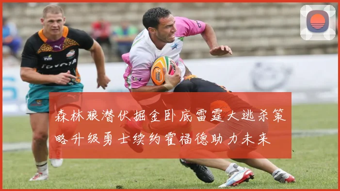 森林狼潜伏掘金卧底雷霆大逃杀策略升级勇士续约霍福德助力未来
